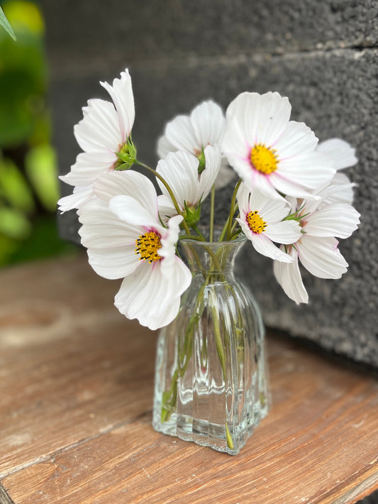 Vase „Vera“